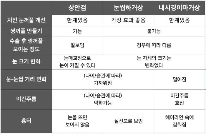 상안검 이마거상 비교