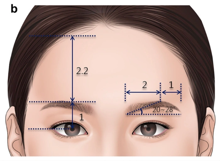 Asian beauty facial ratio
