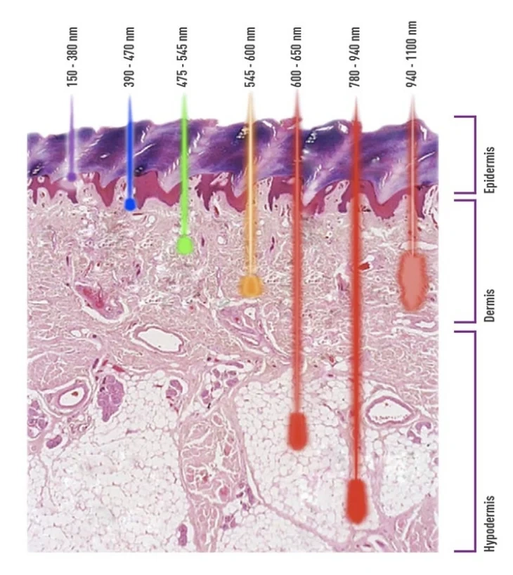 激光波長穿透深度